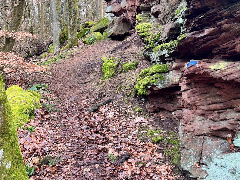 24-02-26 14-07-21 8711